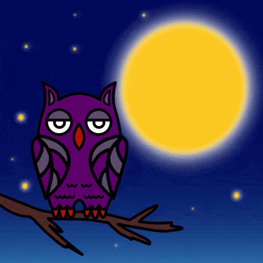 1 Owl in the Night