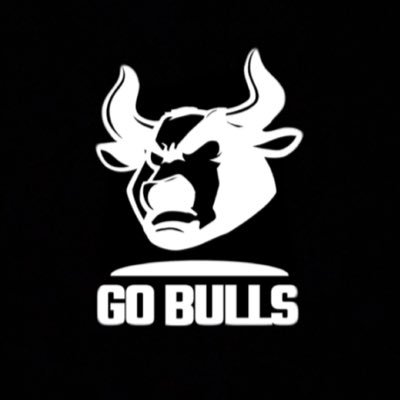 Go Bulls