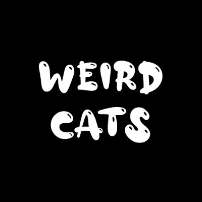 weird_cats